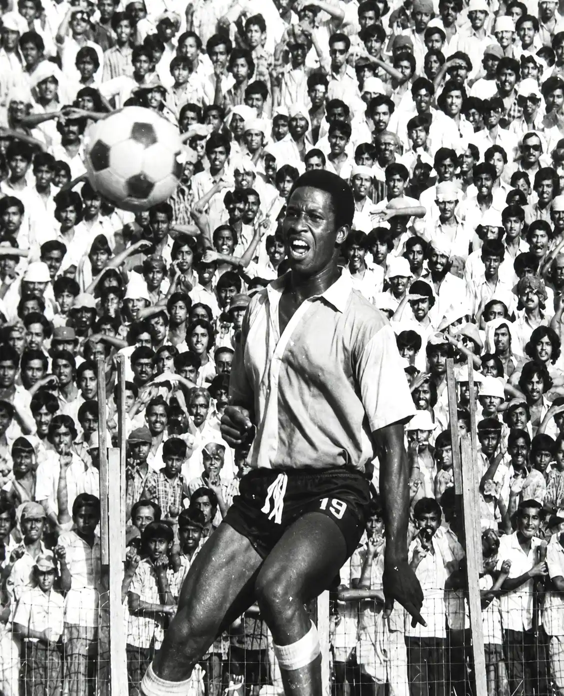 David Williams